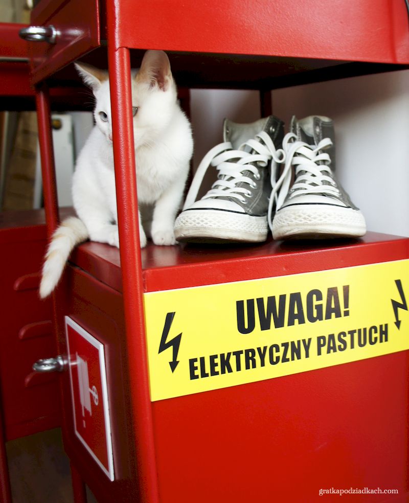 Oddział zamknięty..do odwołania