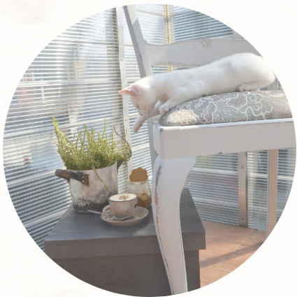 bliźniaki tapicera - designerskie krzesła