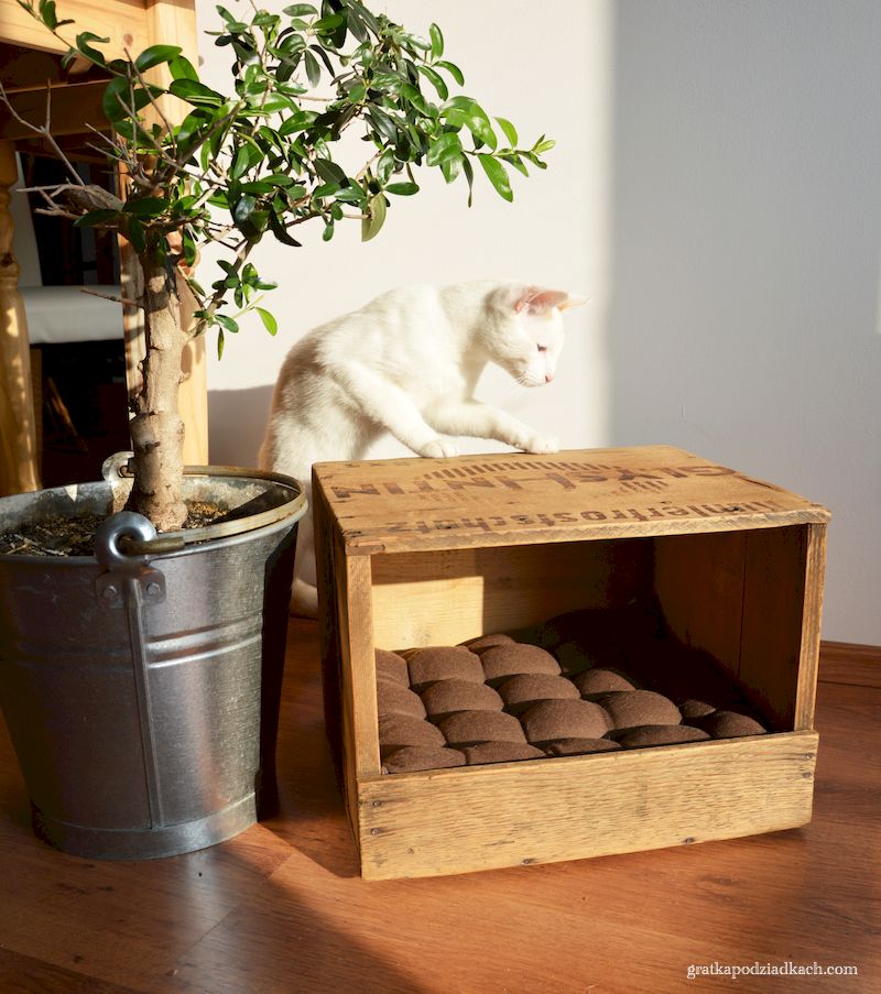 legowisko dla pupila z drewnianej skrzyni